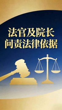 追究法官和院长问责主要法律依据有哪些？