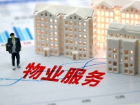 前期物业公司无需招标有法律依据吗？